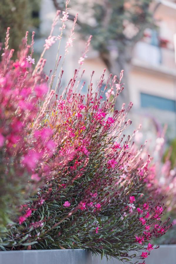 The View Luxury Apartments Taormina Exterior photo
